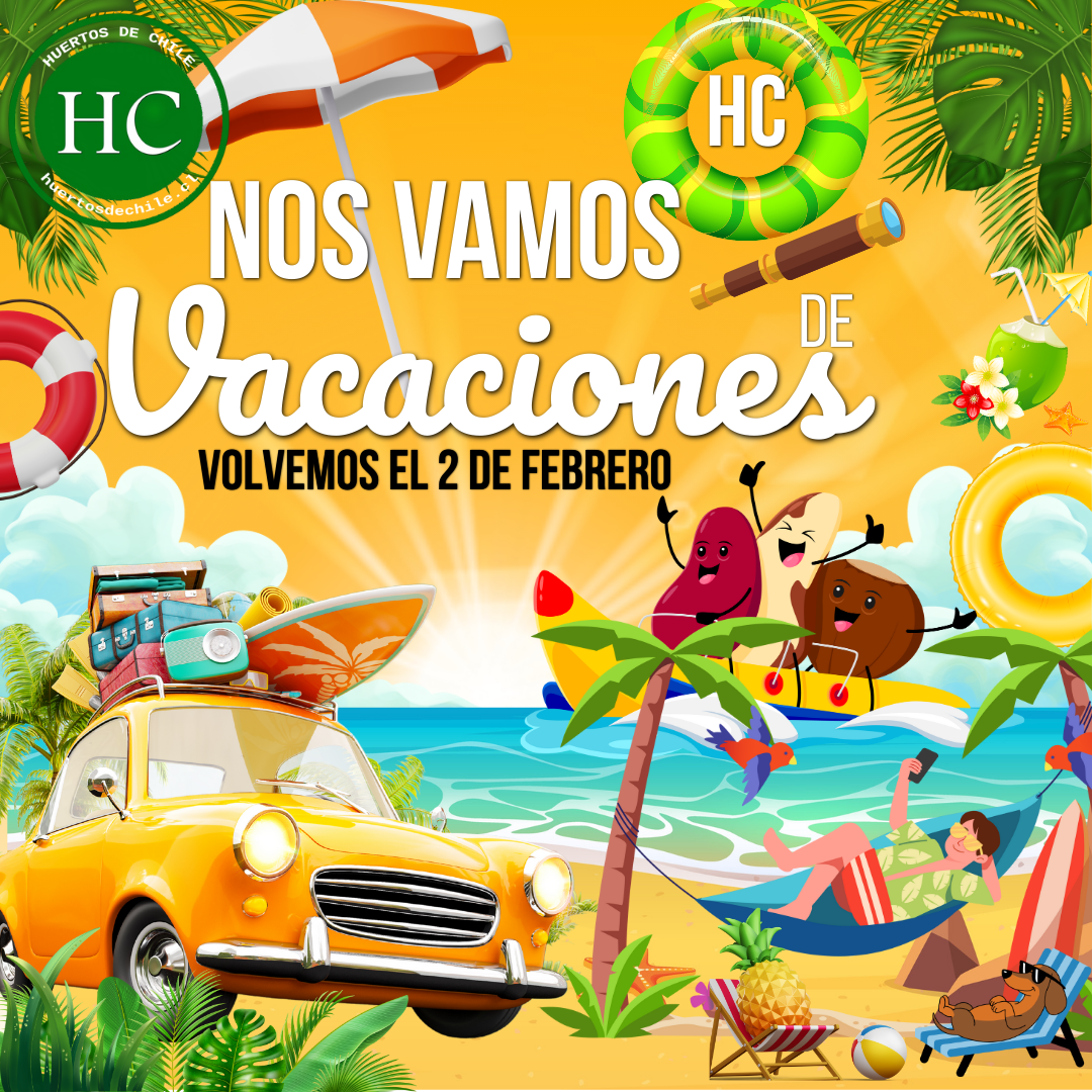 De Vacaciones